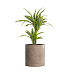 Кашпо CONCRETIKA CYLINDER SMOKEY GREY D60H65 заказать и купить с доставкой из магазина производителя Конкретика по цене 37 260 руб.