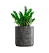 Кашпо CONCRETIKA CYLINDER XL CONCRETE GREY DARK D70H80 заказать и купить с доставкой из магазина производителя Конкретика по цене 55 890 руб.