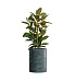 Кашпо CONCRETIKA CYLINDER OCEAN GREEN D50H65 заказать и купить с доставкой из магазина производителя Конкретика по цене 33 260 руб.