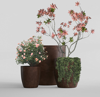 Кашпо CONCRETIKA VASE 3 COFFEE D90H95 заказать и купить Кашпо CONCRETIKA VASE 3 COFFEE D90H95 заказать и купить по цене 87 960 руб ниже рынка от производителя с доставкой.