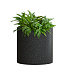 Кашпо CONCRETIKA CYLINDER EGG BLACK D25H25 заказать и купить с доставкой из магазина производителя Конкретика по цене 5 540 руб.