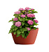 Кашпо CONCRETIKA BOWL TERRACOTTA D52H29 заказать и купить с доставкой из магазина производителя Конкретика по цене 11 090 руб.