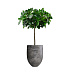 Кашпо CONCRETIKA BARREL CONCRETE GREY DARK D41H60 заказать и купить с доставкой из магазина производителя Конкретика по цене 22 620 руб.