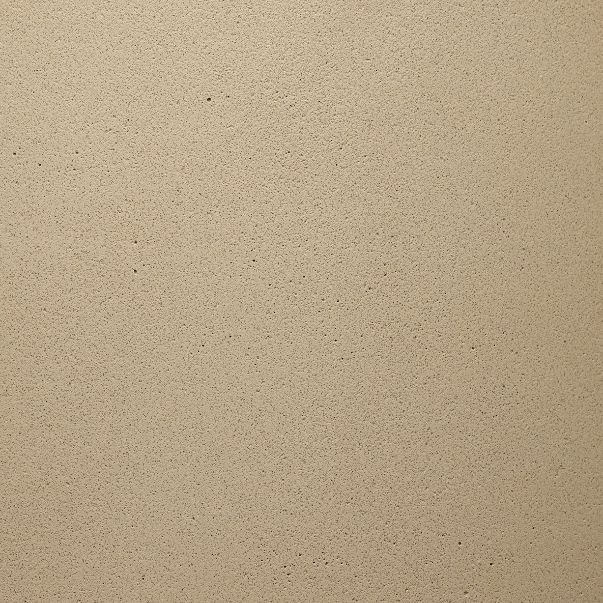 Имбирный 1019