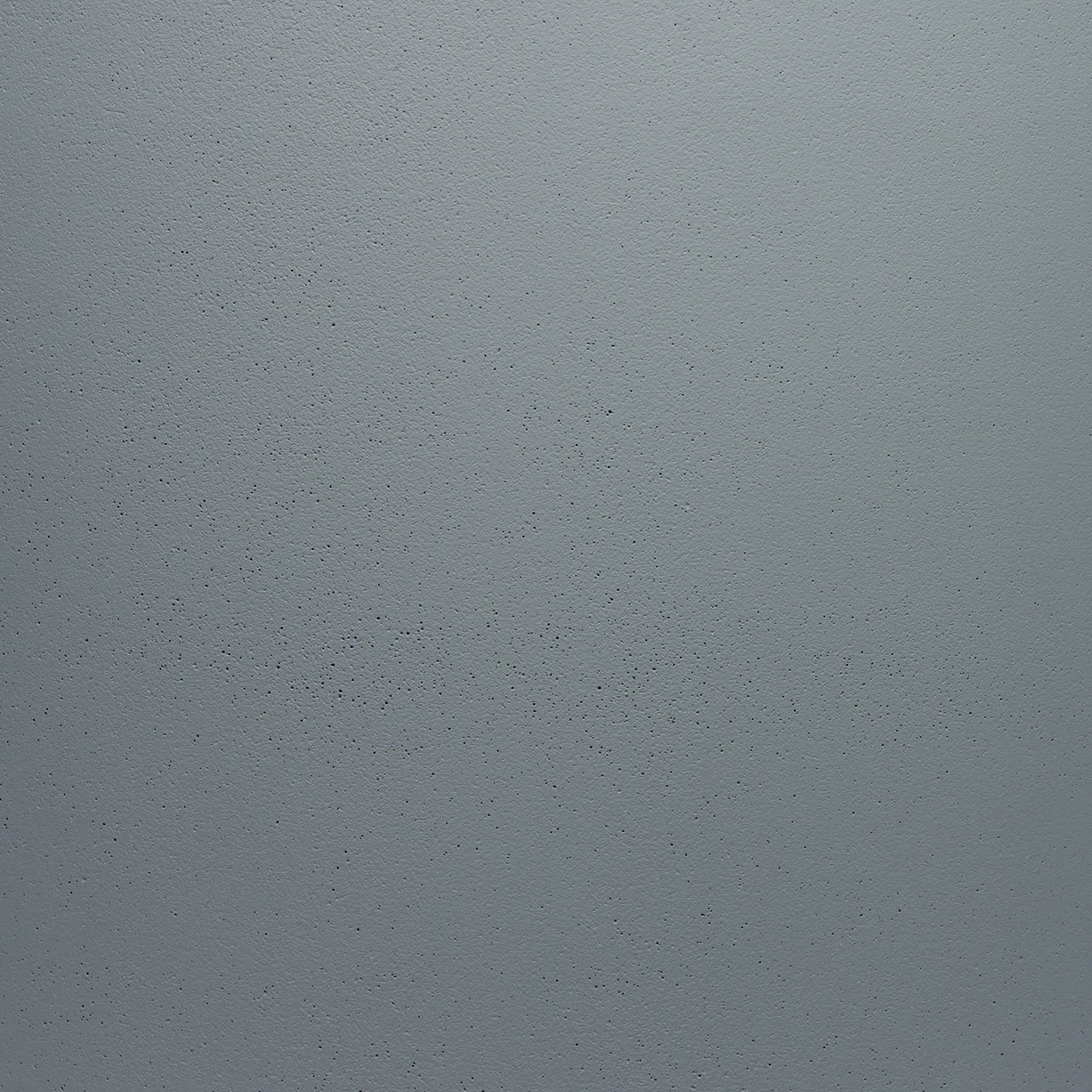 Арктик грей