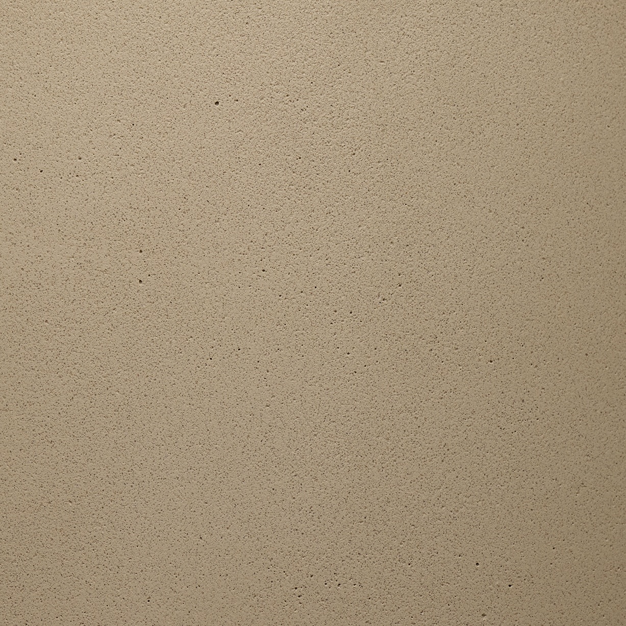 Имбирный 1019